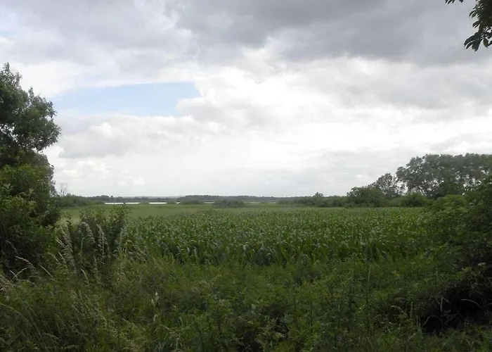 In With Swimming Pool * Putzar